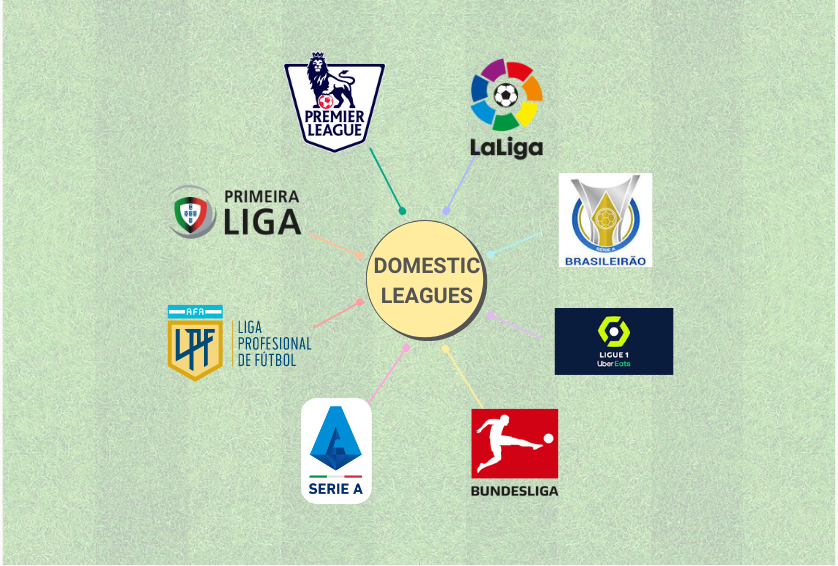 Intro To the Top Domestic Football Leagues Around the World